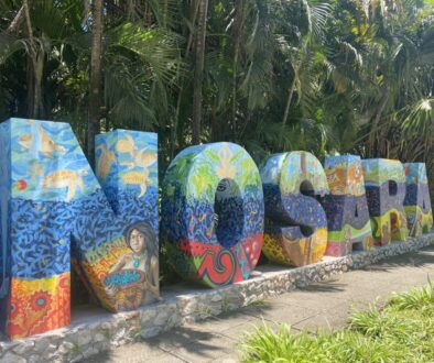 Nosara Sign